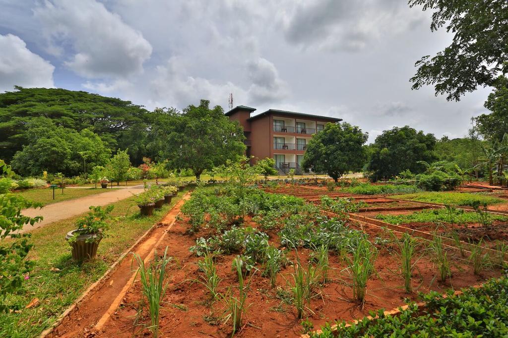 Grand & Gangula Hotel Dambulla Kültér fotó