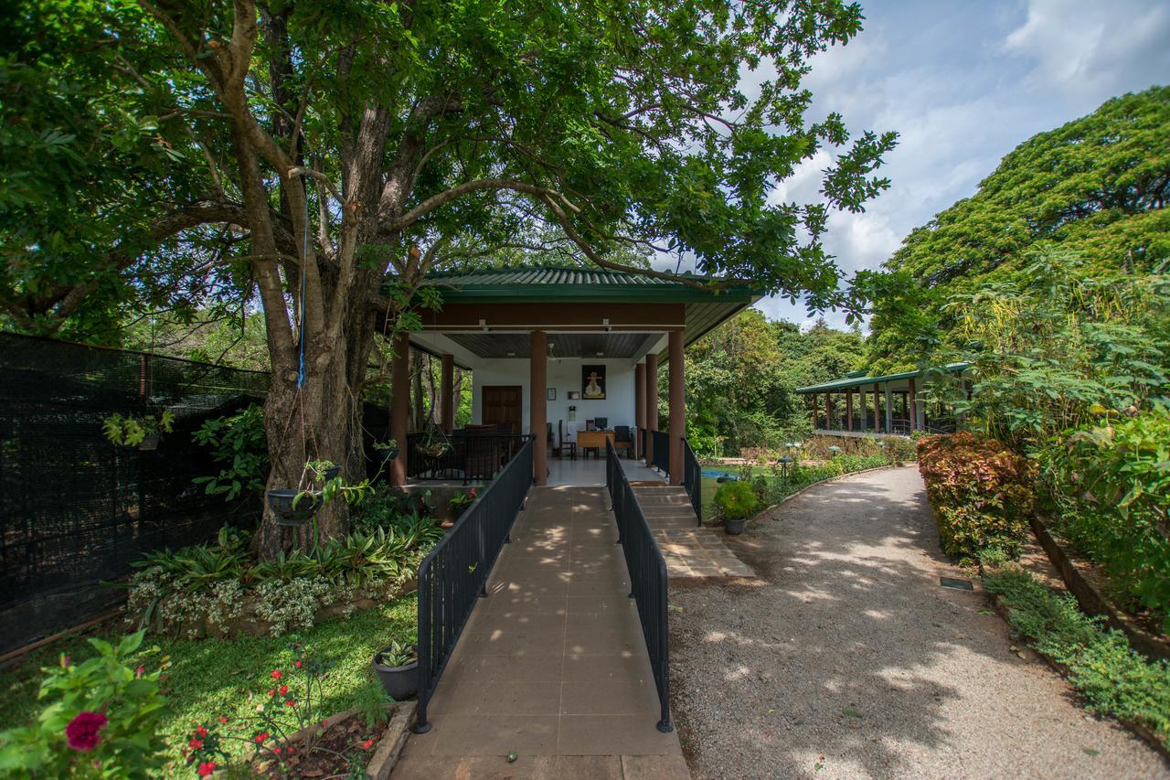 Grand & Gangula Hotel Dambulla Kültér fotó