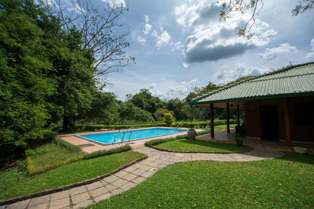 Grand & Gangula Hotel Dambulla Kültér fotó