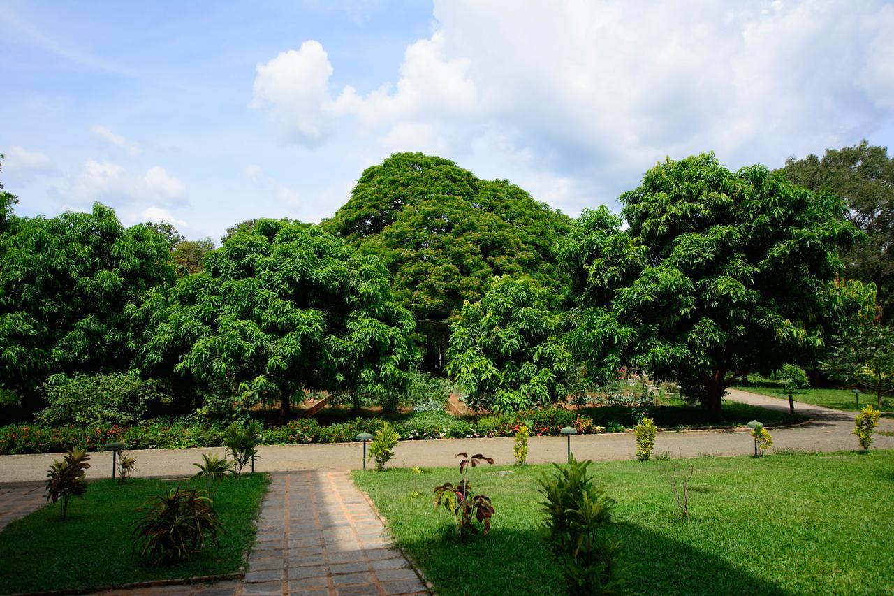 Grand & Gangula Hotel Dambulla Kültér fotó