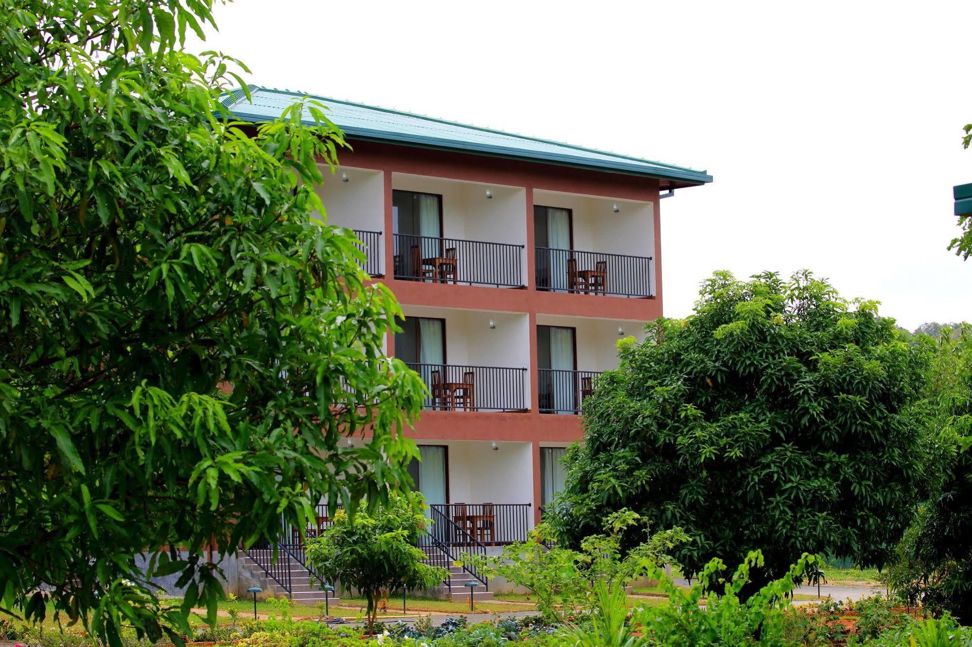 Grand & Gangula Hotel Dambulla Kültér fotó
